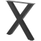 X-Frame image